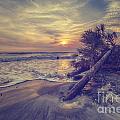 Cape San Blas 2