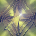 Folded Flower 1