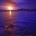Midnight Sun